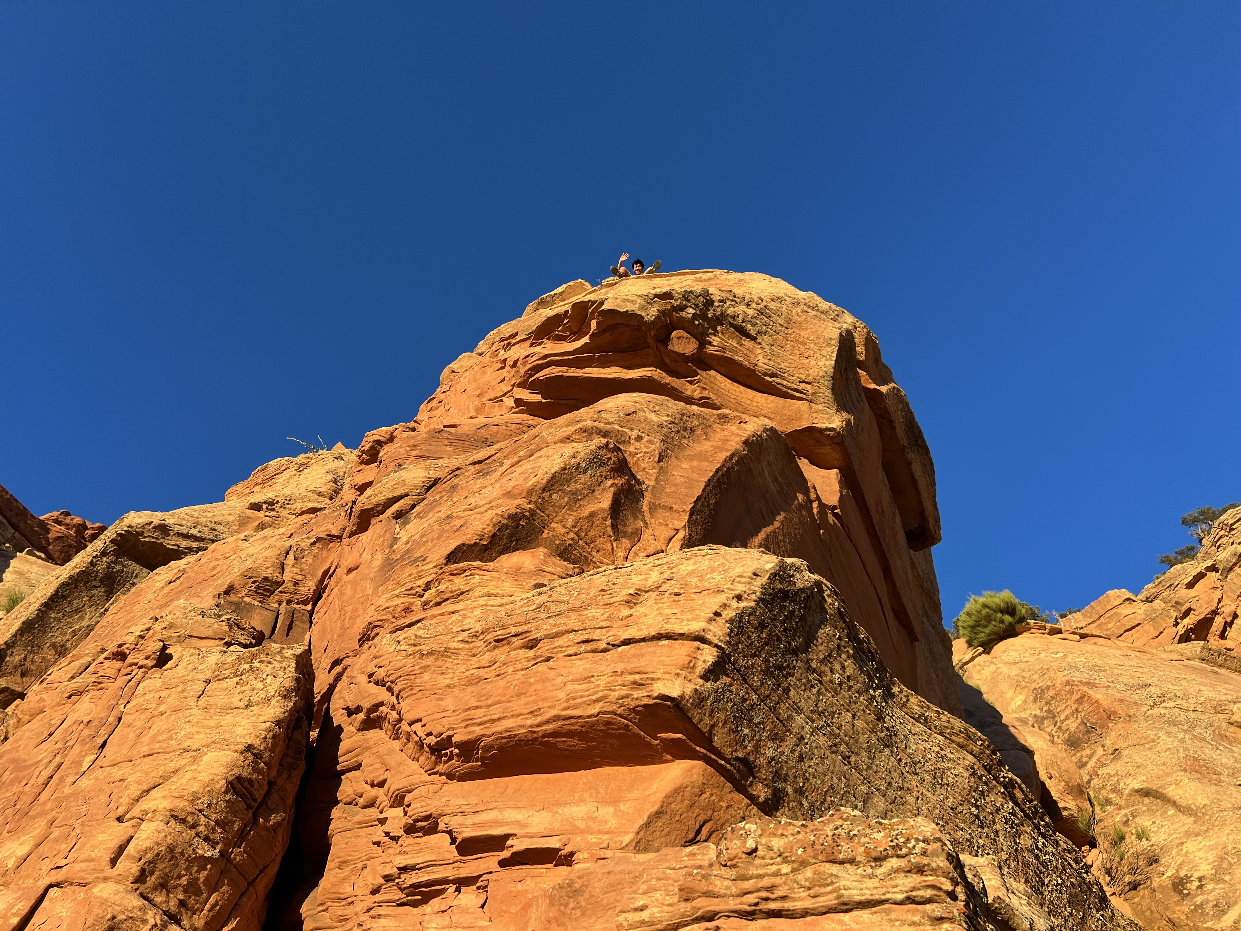 albert on a cliff