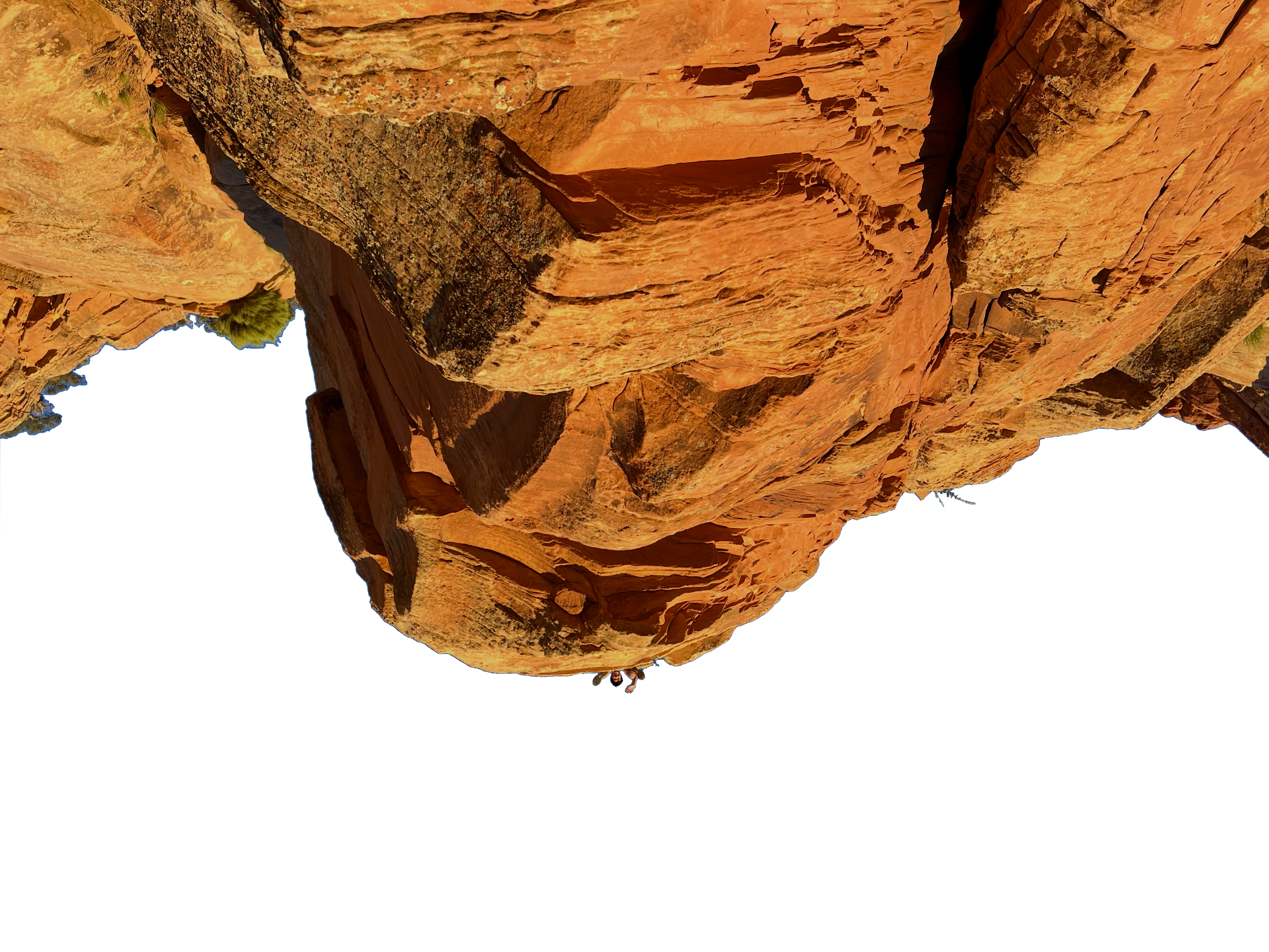 albert on a cliff